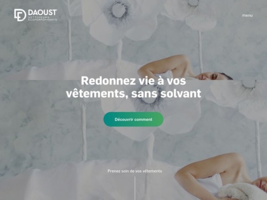 Daoust Nettoyeurs Écoperformants web design