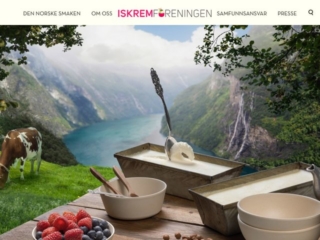 Iskremforeningen web design