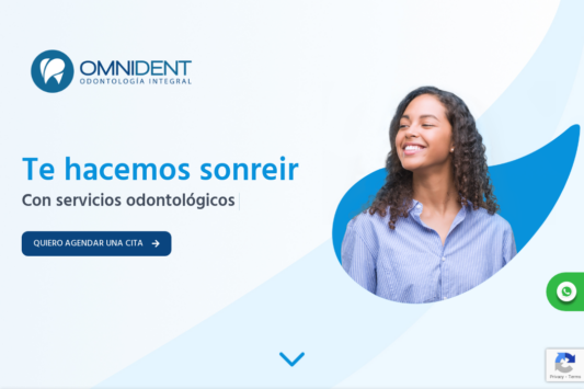 OMNIDENT web design