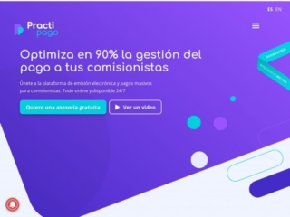Practipago web design